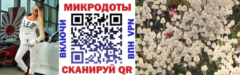 Галлюциногенные грибы ЛСД  Алатырь 